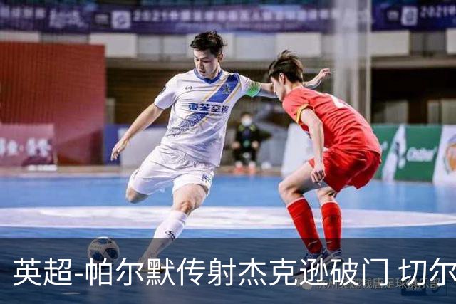 英超-帕尔默传射杰克逊破门 切尔西3-2纽卡斯尔