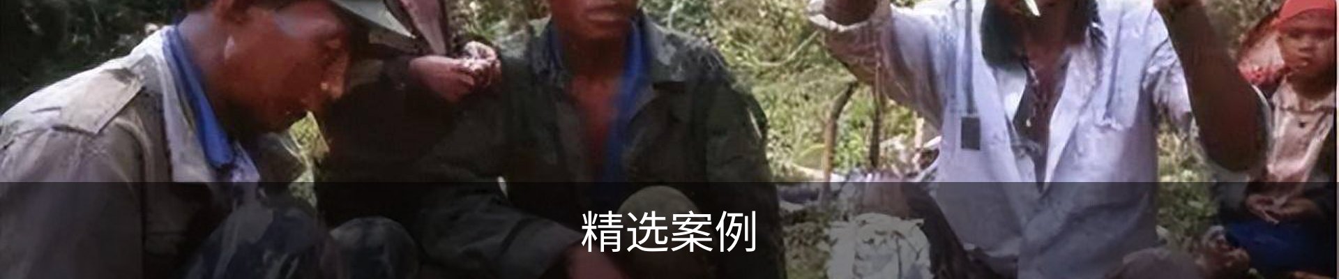 精选案例